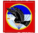 Airborne Patch